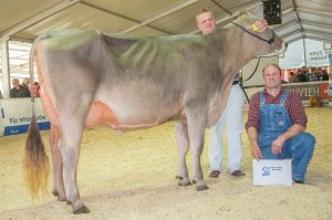 Schneuter Biver Beverly